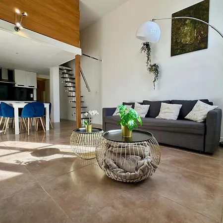 Appartement Rive Gauche - Mezzanine Impressionnistes